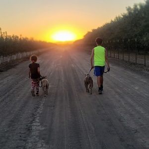 Meet your Posher, Cutie